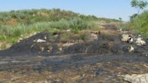 Рекултивират сметищата в Дебелец и Килифарево