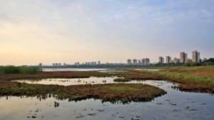 Какво за мен е лагуната Атанасовско езеро