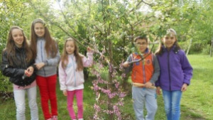 Засаждане на фиданки и боядисване на яйца в ОДК