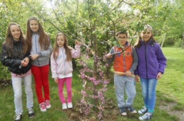 Засаждане на фиданки и боядисване на яйца в ОДК