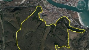 Природозащитник за горите над Аспарухово Такъв ужас не съм виждал