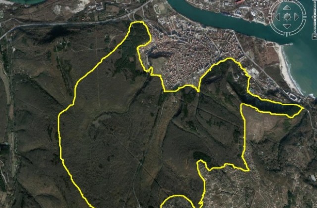 Природозащитник за горите над Аспарухово: Такъв ужас не съм виждал!