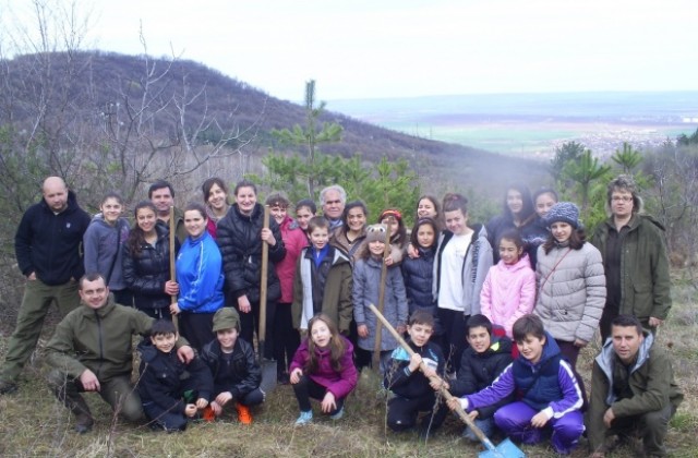 50 фиданки черен бор засадиха край хижа Божур