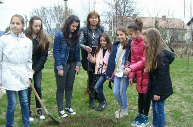 Деца засадиха липи в екопарк Малкият принц