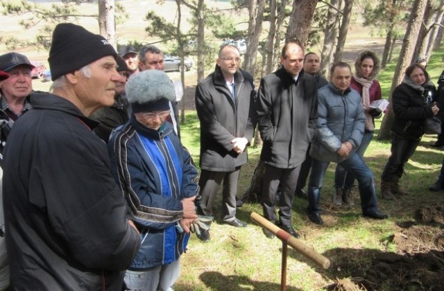 Над 1000 дръвчета посадиха в Айтос