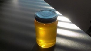 НССЗ съветва пчеларите