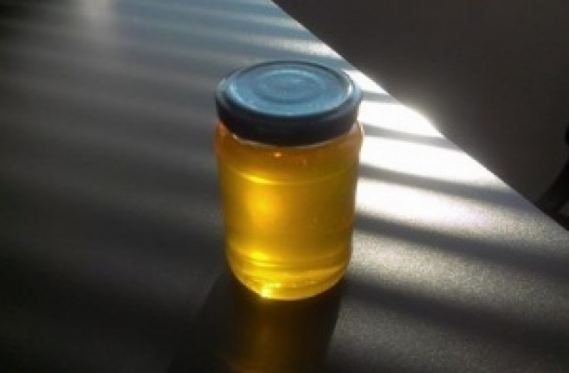 НССЗ съветва пчеларите