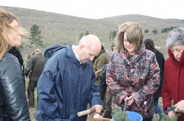 Две залесителни акции в Стара Загора