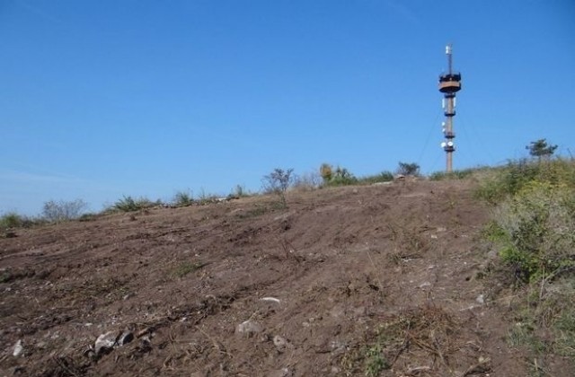 Кампания за залесяване на парк „Боровец”