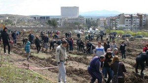 Близо 6000 дръвчета са засадени на парк Боровец