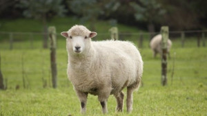 ЕС отпуска средства за модернизиране на българските стопанства