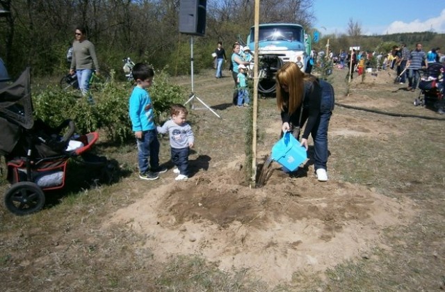 Със 143 дръвчета с имена на деца продължава Алеята на живота в Димитровград
