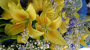 Цяла градина от цветни български имена вече са почти изчезнали