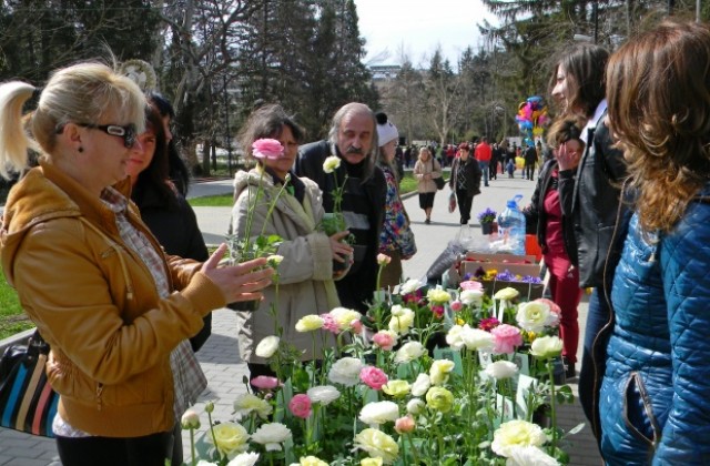 400 стръка цветя подариха на имениците за Цветница