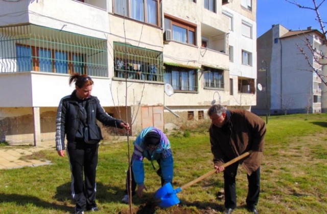200 дръвчета засадиха от ГЕРБ за Седмицата  на гората
