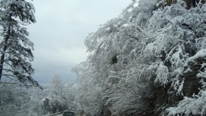 Пътищата в областта са проходими при зимни условия
