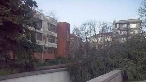 Внимание Жълт код за силен вятър