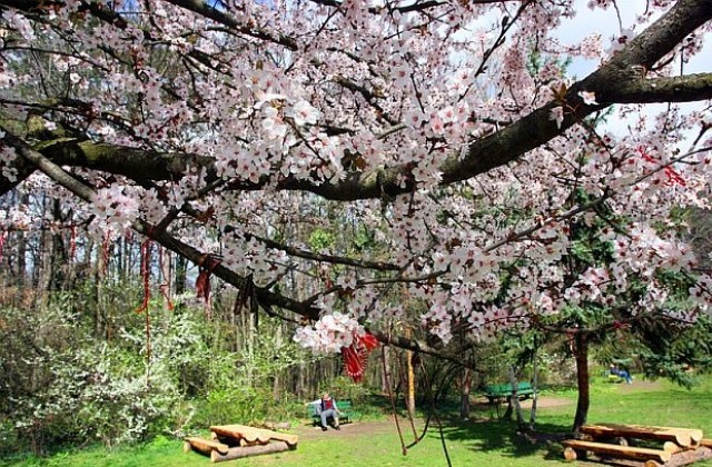 Пролетта най-сетне идва, очаква ни слънчево и топло време по Великден