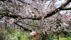 Пролетта найсетне идва очаква ни слънчево и топло време по