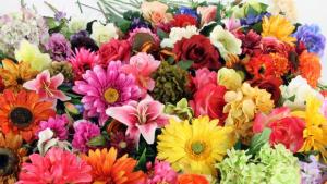 Кметът на Казанлък с поздравление по случай Световния ден на