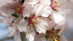 Пролетта найсетне идва очаква ни слънчево и топло време по