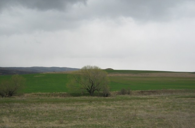 20 полски пазачи ще охраняват реколтата в дупнишко