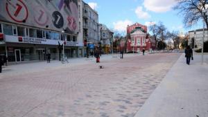 Започват да озеленяват центъра