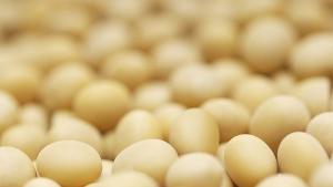 Българските яйца са сред найевтините в Европа не се очаква