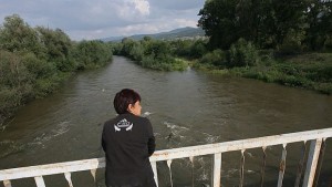 Запасът на българските гори се е увеличил три пъти за