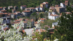 Поздрав от Общински съвет Враца