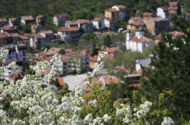 Поздрав от Общински съвет Враца