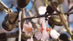 Слънчево и топло време на Велика събота