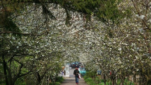Времето на 12 април Температурите скачат до 24 градуса на