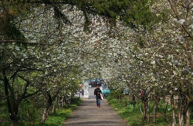 Времето на 12 април: Температурите скачат до 24 градуса на Великден