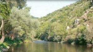 Търсят вече 24 ч скочило в река Струма 17 годишно