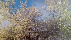 Остава топло с температури до 23 градуса