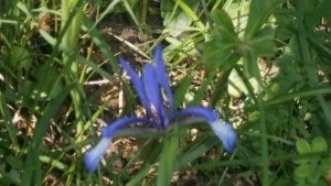 Високи температури на 13 април