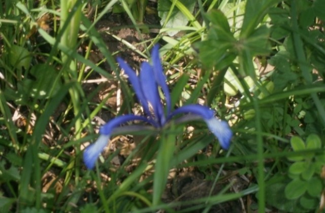 Високи температури на 13 април