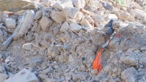 Експерт Бях много изненадан че събарят хотел Вероника беше хубава