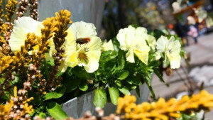 Заоблачава се на места с превалявания