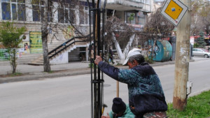 Нови дървета и храсти засадиха във В Търново