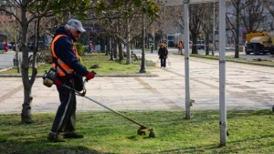 Почистват Морската градина и пръскат срещу кърлежи