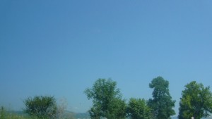 Разясняват възможностите за финансово подпомагане на земеделските производители