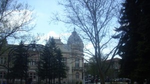 Може ли хомеопатичните средства да заместят антибиотиците