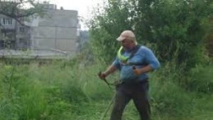 Пускат косачките в Долни чифлик чистят и деретата