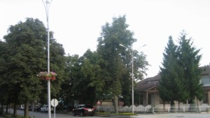 В ГенТошево стартираха пролетното почистване и залесяване