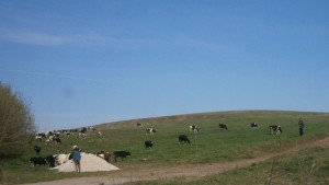 Обезщетяват пчелари и земеделски стопани пострадали от природни бедствия