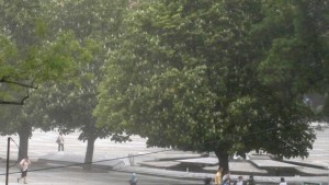 Обявиха жълт код за силен вятър в Плевен
