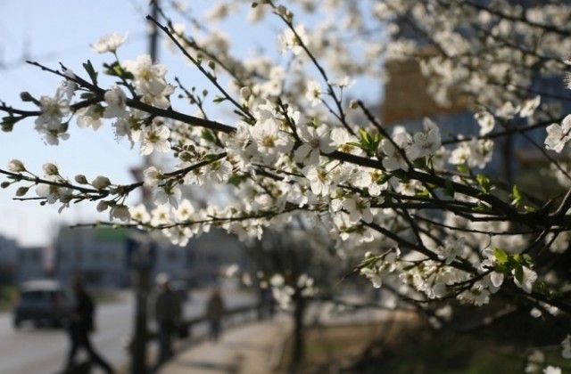 Слънце преди обяд, дъжд на места следобед