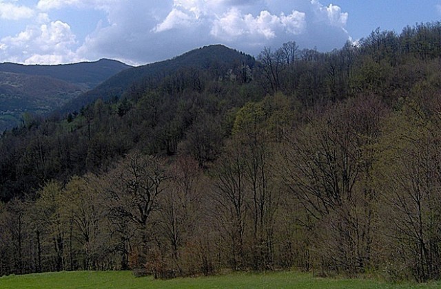 Слънцето се завръща